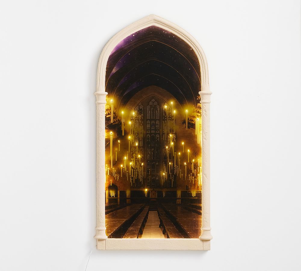 Harry Potter™ Lit Mirror Door by Pottery Barn