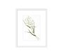 Monique Lhuillier Olive Botanical Framed Print