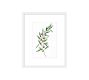 Monique Lhuillier Olive Botanical Framed Print