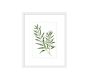 Monique Lhuillier Olive Botanical Framed Print