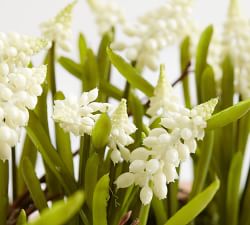 Faux White Grape Hyacinth Arrangement
