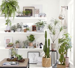 Faux Potted Pothos Houseplant