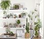 Faux Potted Pothos Houseplant