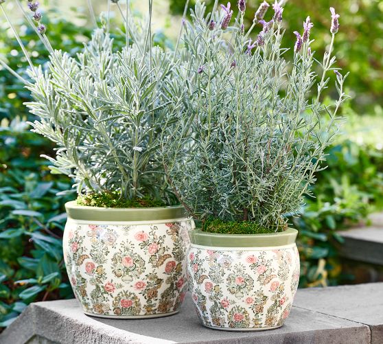 Kravet Rosehill Cachepots | Pottery Barn
