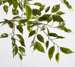 Faux Potted Triangular Ficus