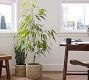 Maya Terracotta Outdoor Planters
