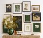 Magnolia Bloom Framed Print