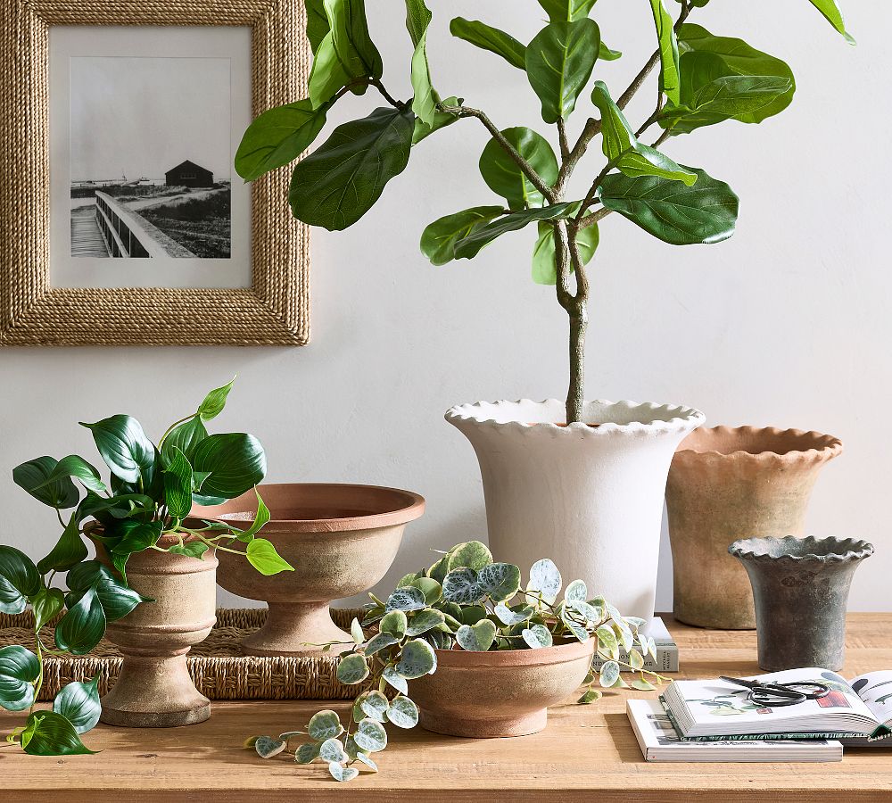 Palermo Planters by Pottery Barn