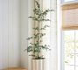 Faux Black Olive Tree