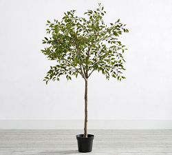 Faux Potted Triangular Ficus