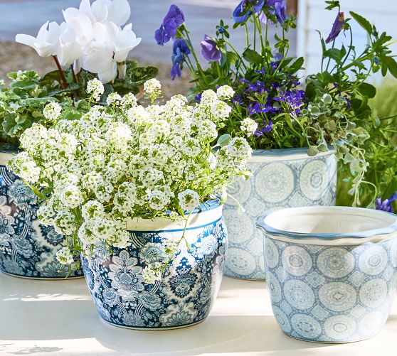 Indoor Planter Pots & Planters | Pottery Barn