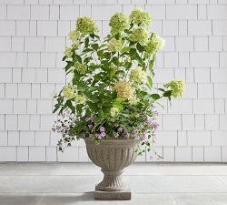 LoveShackFancy Planter Collection