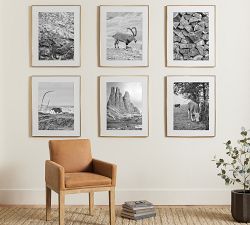 Stowe Modern Metal Frames - 24x30