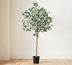 Open Box: Faux Silver Dollar Eucalyptus Tree, 7' - Plastic Pot Only