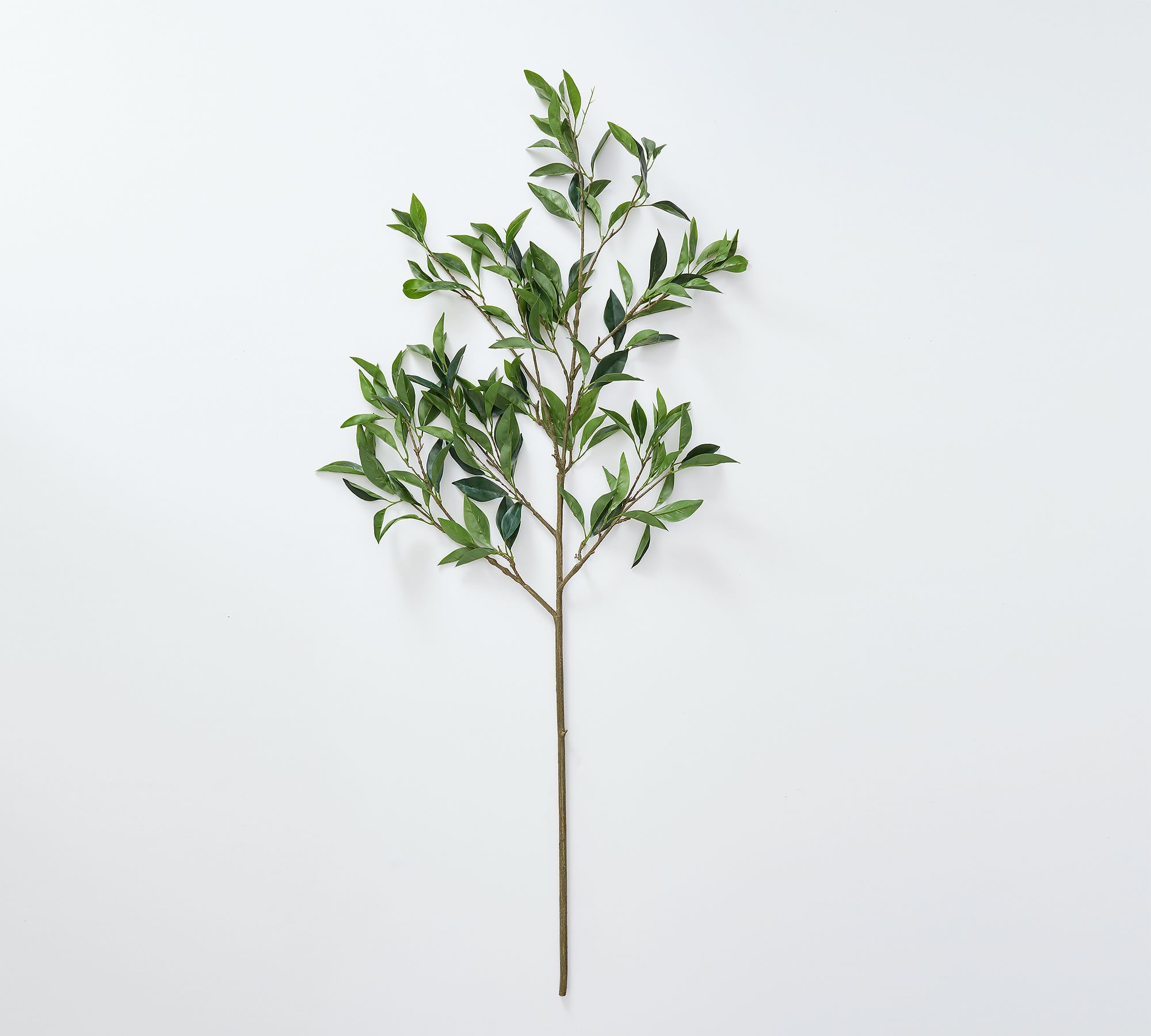 Faux Green Bay Leaf Branch