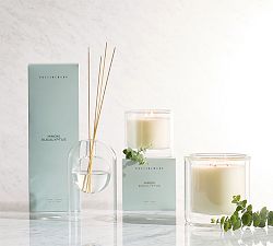 Hinoki Eucalyptus Scent Collection