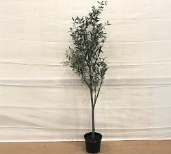 Open Box: Faux Potted Olive Tree (6') - Green