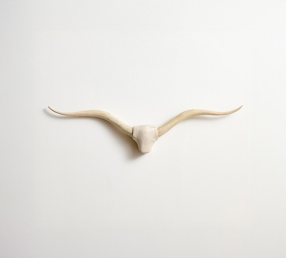 Longhorn Wall Art by Pottery Barn