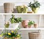 Sicily Cachepots
