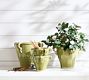 Sicily Cachepots