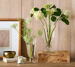 Glass Stem Vase