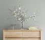Aegean Clear Glass Vases