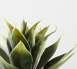 Faux Aloe Vera Plant
