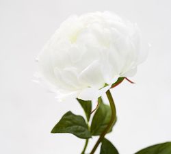 Faux Peony Stems