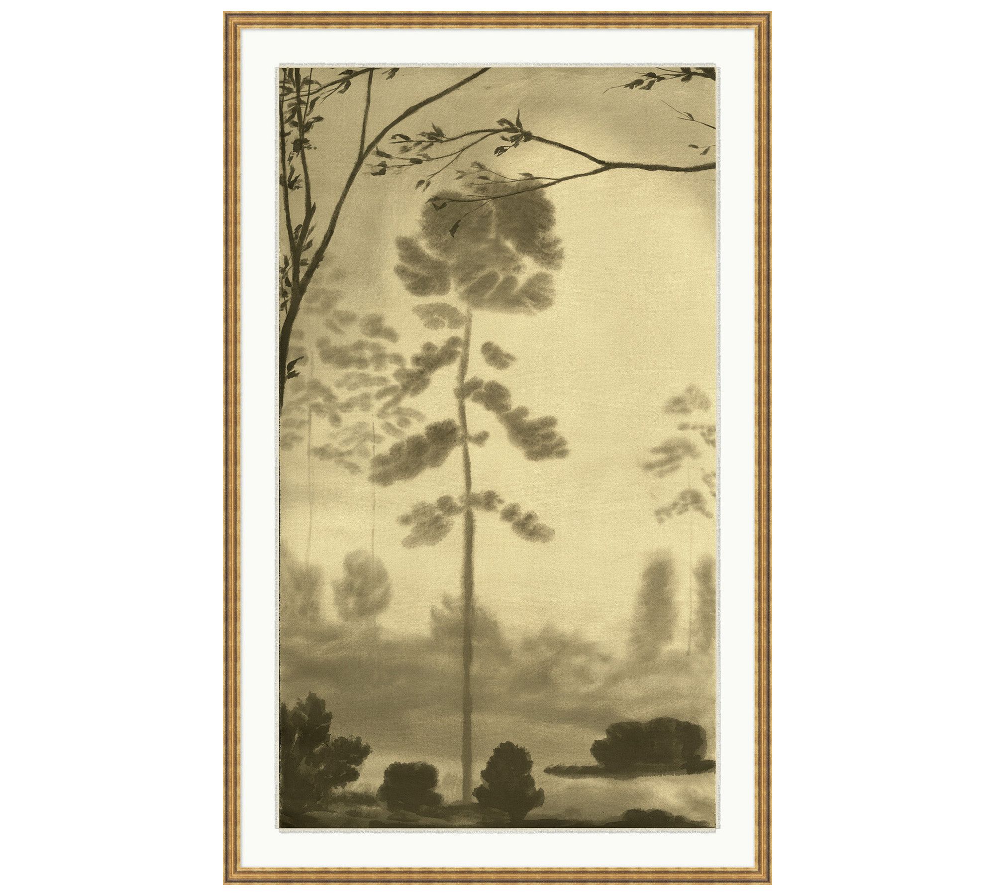 The Old Forest by Chelsea Fly