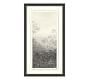 Charcoal VI Tall Trees by Aileen Fitzgerald
