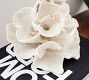 Faux White Wave Coral