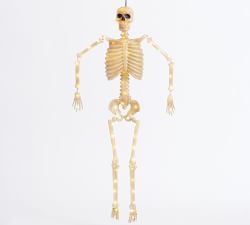 Lit Mr. Bones