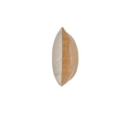 Caia Toscano Leather Lumbar Pillow