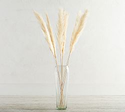 Dried Pampas Grass Branches - Set of 3
