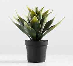 Faux Aloe Vera Plant