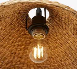 Frannie Iron Swing Arm Sconce (10")