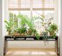 Faux Trailing Variegated String Of Hearts Houseplant