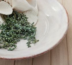 Handcrafted Glazed Terracotta Decorative Bowl