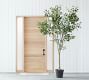 Faux Shady Lady Olive Tree