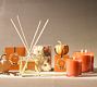 Pumpkin Spice Scent Collection
