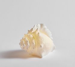 Lit Coastal Objects