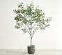 Faux Shady Lady Olive Tree