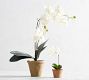 Faux Orchid