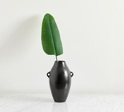 Banana Palm Branch