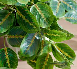 Faux Wandering Prayer Houseplant