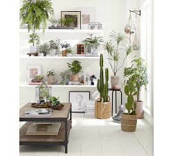 Faux Potted Mini Southern Maiden Hair Fern Houseplant