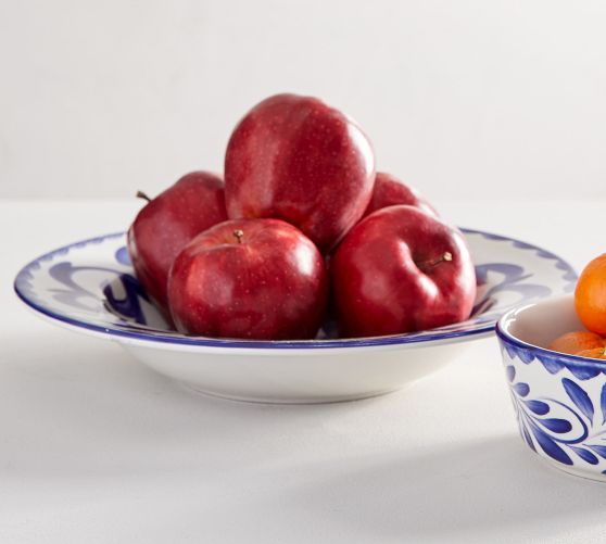 Puebla Porcelain Wide Rim Serving Bowl