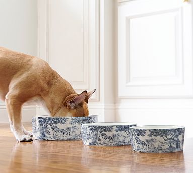 brandon-maxwell-groveland-