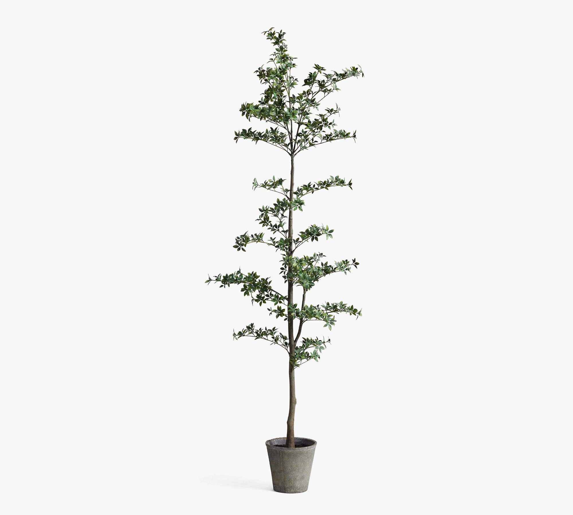 Faux Black Olive Tree - thumbnail 2