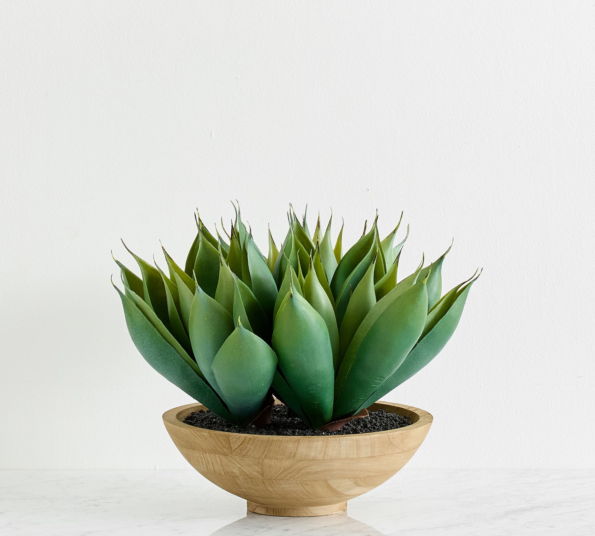 Faux Composed Spike Aloe Plant